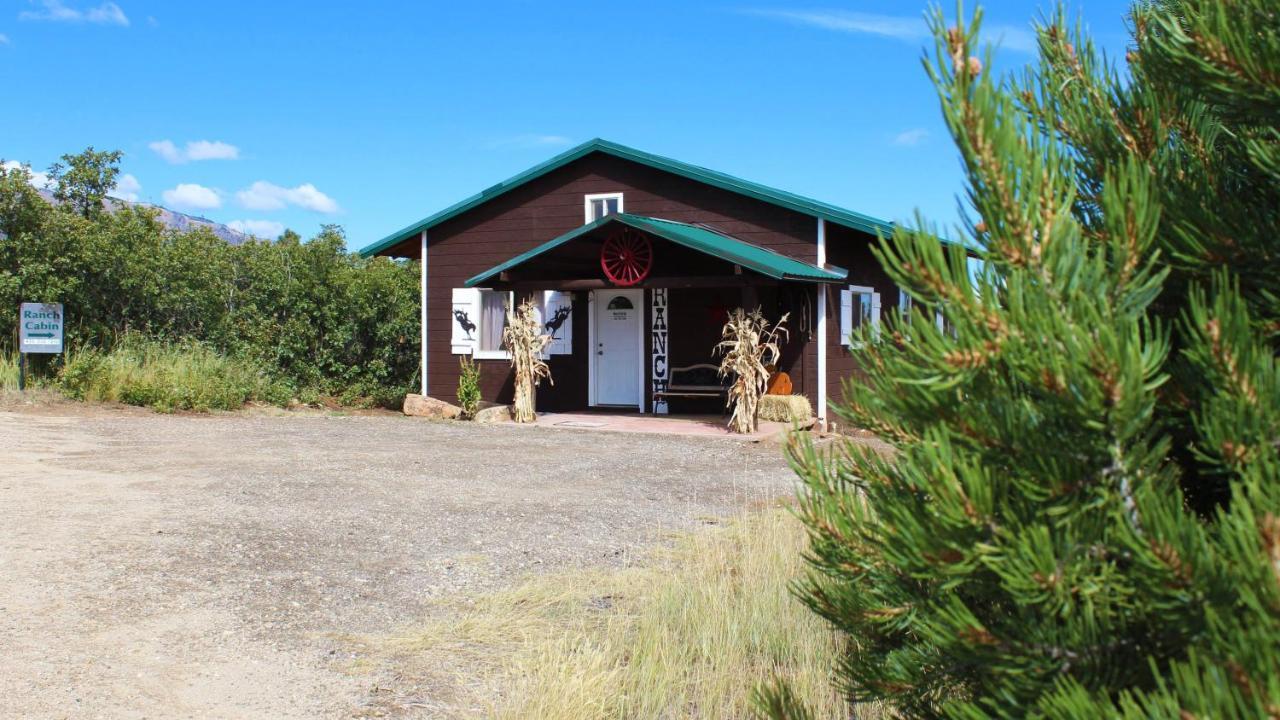 Ranch Mountain Cabin, Stunning! Campfire, Hiking Monticello Bagian luar foto