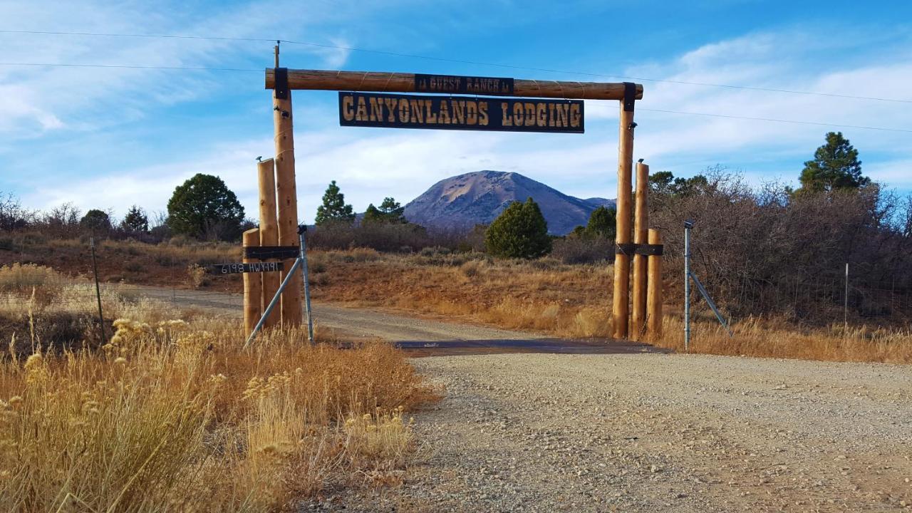 Ranch Mountain Cabin, Stunning! Campfire, Hiking Monticello Bagian luar foto